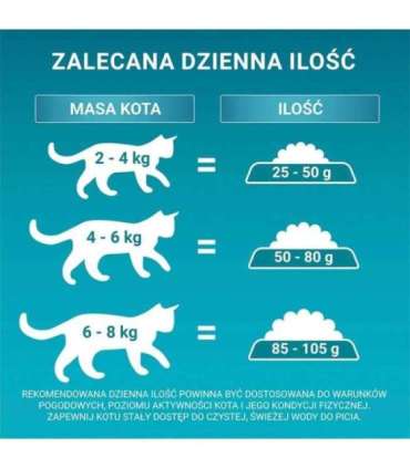 PURINA One Bifensis Senior 7+ - dry cat food - 800 g