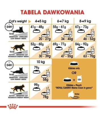 ROYAL CANIN FBN Maine Coon Adult dry cat food - 10kg