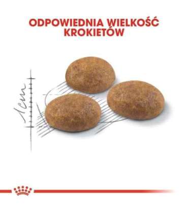 Royal Canin Outdoor cats dry food 400 g Adult Poultry