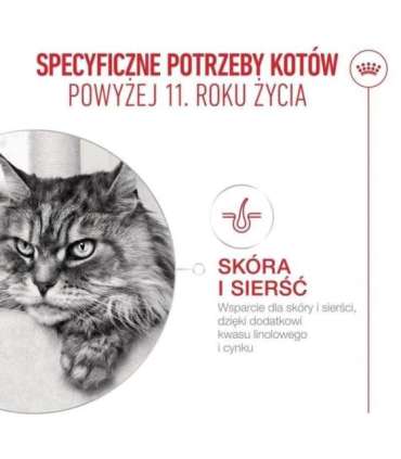 ROYAL CANIN Ageing 11+ - dry cat food - 4kg