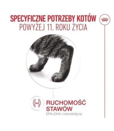 ROYAL CANIN Ageing 11+ - dry cat food - 4kg