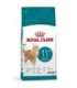 ROYAL CANIN Ageing 11+ - dry cat food - 4kg