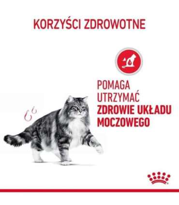 Royal Canin Urinary Care dry cat food 10 kg