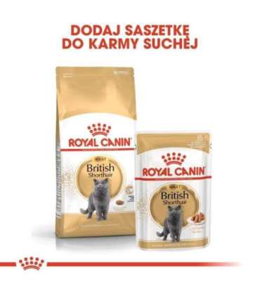 Royal Canin British Shorthair Adult cats dry food 4 kg