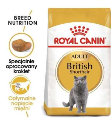 Royal Canin British Shorthair Adult cats dry food 4 kg
