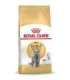 Royal Canin British Shorthair Adult cats dry food 4 kg