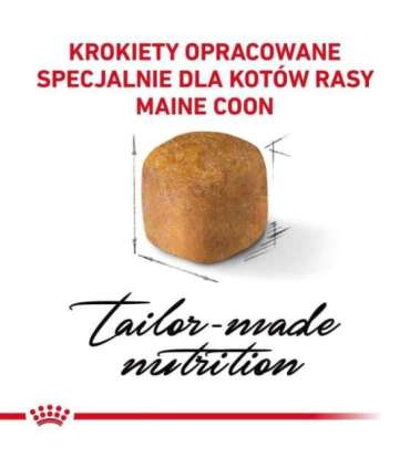 ROYAL CANIN Maine coon FBN Kitten - dry cat food - 400g