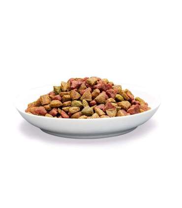 PREVITAL Senior Salmon - dry cat food - 1,4kg