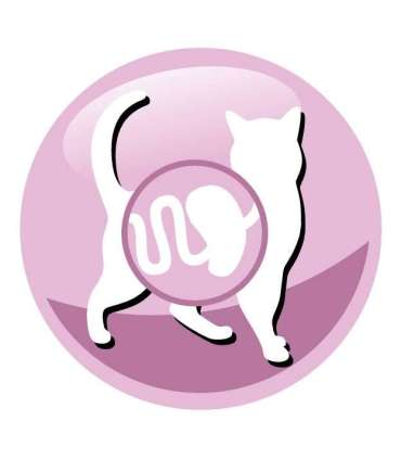 PREVITAL Senior Salmon - dry cat food - 1,4kg