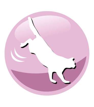 PREVITAL Senior Salmon - dry cat food - 1,4kg