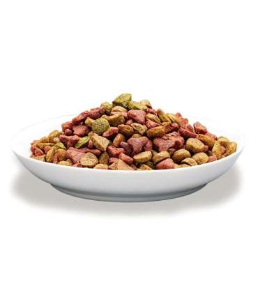 PREVITAL Cat Food Adult with Chicken - Dry Cat Food - 1.4 kg