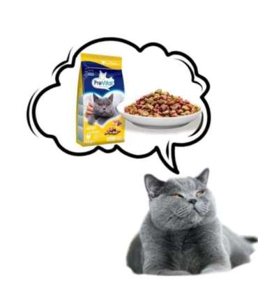 PREVITAL Cat Food Adult with Chicken - Dry Cat Food - 1.4 kg