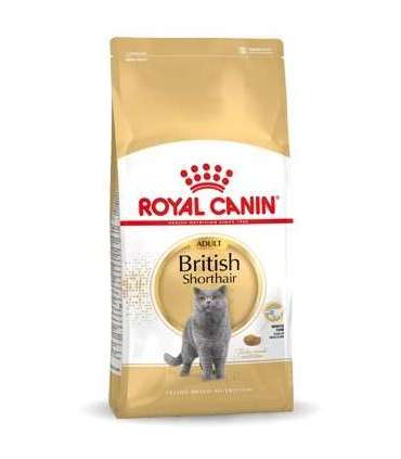 ROYAL CANIN FBN British Shorthair Adult dry cat food - 10 kg