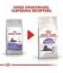 ROYAL CANIN Sterilised 7+ - dry cat food - 10 kg