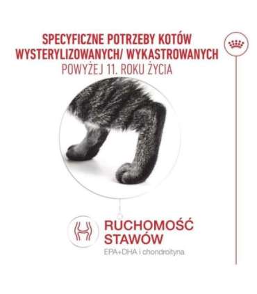 ROYAL CANIN Ageing 11+ Sterilised - dry cat food - 400g