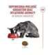 ROYAL CANIN Ageing 11+ Sterilised - dry cat food - 4kg