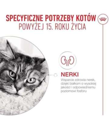 ROYAL CANIN Ageing 15+ - dry cat food - 2kg