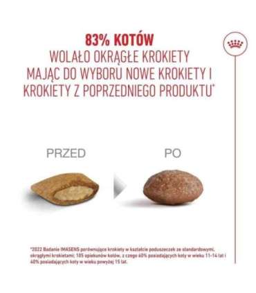 ROYAL CANIN Ageing 15+ - dry cat food - 2kg