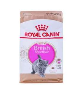 ROYAL CANIN British Shorthair Kitten - dry cat food - 400g