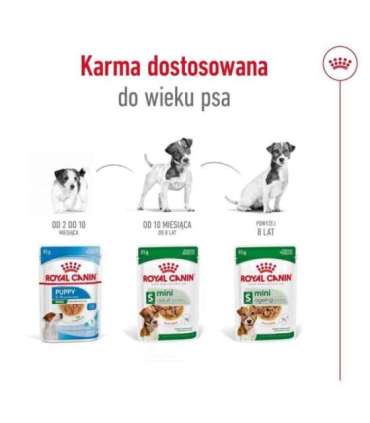 ROYAL CANIN Mini Adult - wet dog food - 12 x 85g