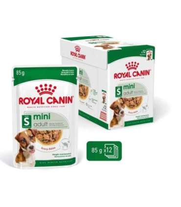 ROYAL CANIN Mini Adult - wet dog food - 12 x 85g