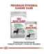 ROYAL CANIN CCN DIGESTIVE CARE LOAF - wet food for adult dogs - 12x85g