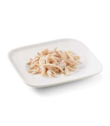 SCHESIR in jelly Chicken - wet dog food - 150 g