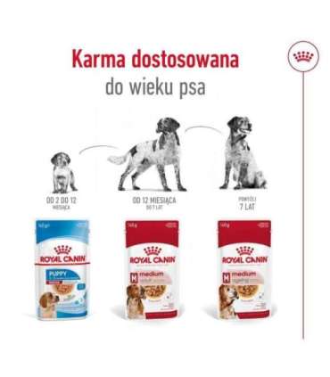 ROYAL CANIN SHN Medium Adult in sauce - wet food for adult dogs - 10x140g