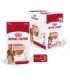 ROYAL CANIN SHN Medium Adult in sauce - wet food for adult dogs - 10x140g