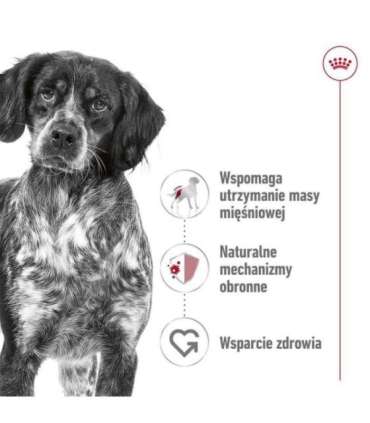 ROYAL CANIN SHN Medium Adult in sauce - wet food for adult dogs - 10x140g