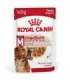 ROYAL CANIN SHN Medium Adult in sauce - wet food for adult dogs - 10x140g