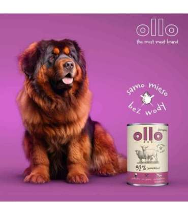OLLO Umami Lamb and beef - wet dog food - 850g