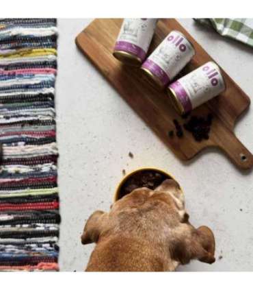 OLLO Umami Lamb and beef - wet dog food - 850g