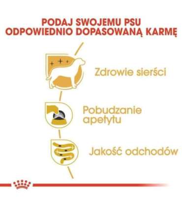 Royal Canin Yorkshire Terrier Adult 85 g