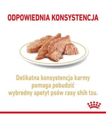 ROYAL CANIN Shih Tzu Adult Wet dog food Pâté 12x85 g