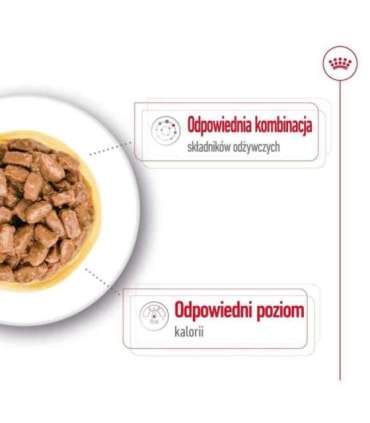 ROYAL CANIN Mini Ageing - wet dog food - 12 x 85g