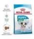 Royal Canin SHN Mini Puppy - dry puppy food - 4kg