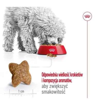 ROYAL CANIN Adult Mini S - dry dog food - 8kg