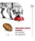 ROYAL CANIN Maxi Adult - dry dog food - 15 kg