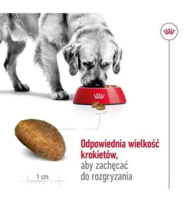ROYAL CANIN Maxi Adult - dry dog food - 15 kg