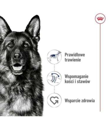 ROYAL CANIN Maxi Adult - dry dog food - 15 kg