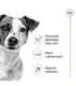 Royal Canin Mini Adult 8+ 8 kg Senior Poultry, Rice, Vegetable