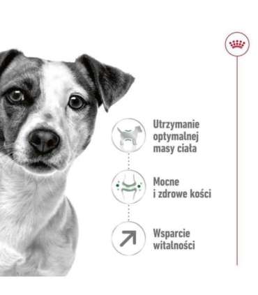 Royal Canin Mini Adult 8+ 8 kg Senior Poultry, Rice, Vegetable