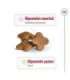 Royal Canin Mini Adult 8+ 8 kg Senior Poultry, Rice, Vegetable