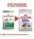 Royal Canin CCN MINI STERILISED - dry food for adult dogs - 3kg