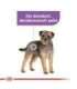 Royal Canin CCN MINI STERILISED - dry food for adult dogs - 3kg