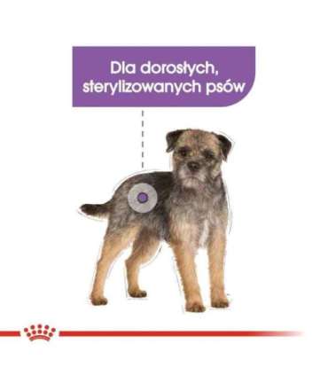 Royal Canin CCN MINI STERILISED - dry food for adult dogs - 3kg