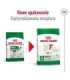 ROYAL CANIN Mini Adult +8 - dry dog food - 2 kg