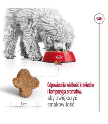 ROYAL CANIN Mini Adult +8 - dry dog food - 2 kg