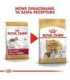 Dog Food Royal Canin SHN Breed Cavalier K C 1.5 kg